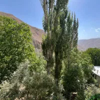 آپارتمان 75 متری شمشک /OUSHAN VILLA