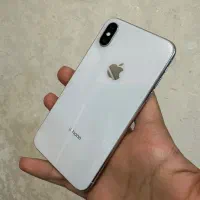 Apple x 256