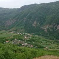 شمال کشور باغ گردو