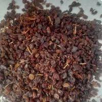 کشمش مناسب آبگیری