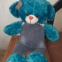 خرس شاسخین