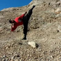 هنر رزمی کانگ فو توآ۲۱