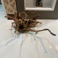 چوب ابنوس اکواربوم اصل وارداتی اصل