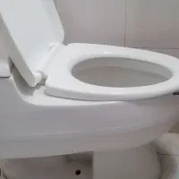 تولت فرنگی در حد نو