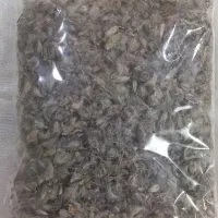 چای کوهی
