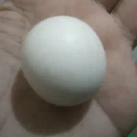 سنگ اسیاب