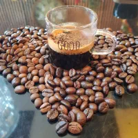 پخش قهوه مستقیم از کارخانه