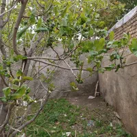 زمین-مسکونی