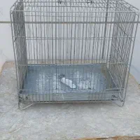 قفس سهره