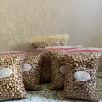 پسته ی فندقی درجه ۱ خالص