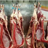 گوشت بره