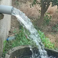 آبیابی