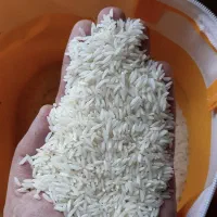 برنج هاشمی