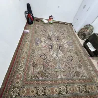 فرش 12متری|فرش|یاسوج, |دیوار