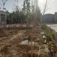 لوله کشی قطره ای زمین های کشاورزی و باغی