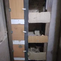 باسلام خدمت دوستان