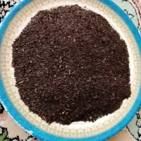 تخم شربتی