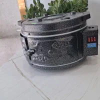 گل فر برقی
