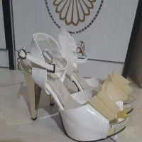 کفش مجلسی
