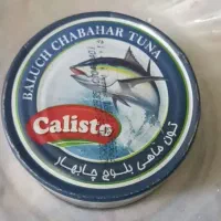 تن ماهی کالیستو ماهی هوور