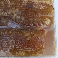 عسل طبیعی