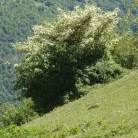 فروش زمین در منطقه مرزن آباد دهکده فشکور
