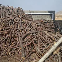 خریدار چوب