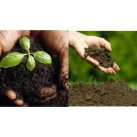 خاک باغچه مرغوب کودماسه بادی خاک رس