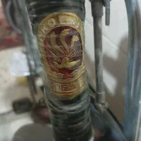 دوچرخه فونیکس چینی