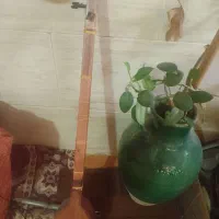 فروش سه تار