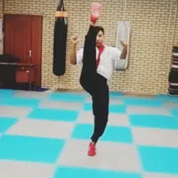 آموزش کونگ فو . رزمی. بوکس. دفاع شخصی