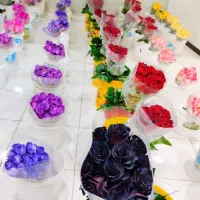 پخش عمده گل رز هلندی ارسال به سراسر کشور