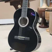 گیتار پترا پیکاپ خور