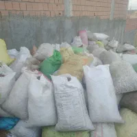 پوست چوبی گردو