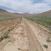 عقیل اباد،زمین کشاورزی