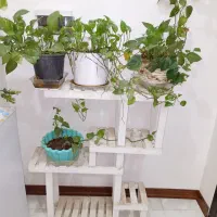 استند گلدان  به همراه گل و گلدان