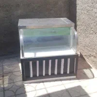 ویترین یخچالی