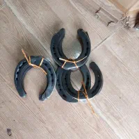 نعل اسب کارکرده کرده ونو