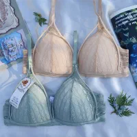 نیم تنه هارنس دار