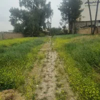 اجاره-کارگاه