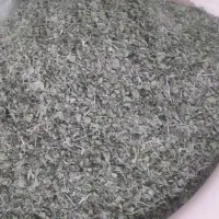آویشن برگ پهن کوهی