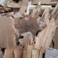 فروش چوب