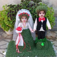 سبزه|گل و گیاه طبیعی|کوهدشت, |دیوار