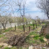 باغ ۷۰۰ متر طرح هادی