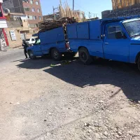 خرید چوب انواع درخت