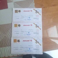 کارت نوین چرم