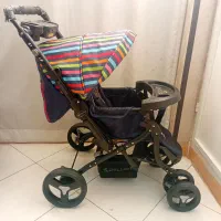 کالسکه دلیجان اصل مدل بنیتا
