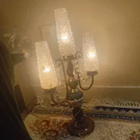 فروش دوعدد شمدانی