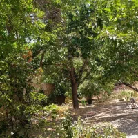 ویلا باغ سکو لب اب همراه قایق سواریرفتینگ