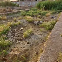 زمین مسکونی ۲۵۰ متری ویس شرق جاده 1000000000